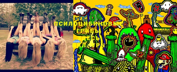 ешки Алзамай