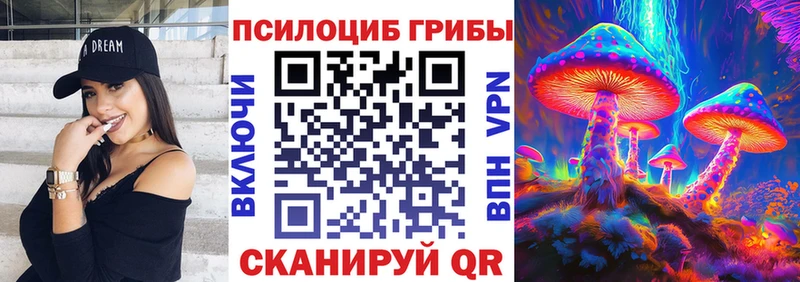Псилоцибиновые грибы Psilocybine cubensis  закладки  Елец 